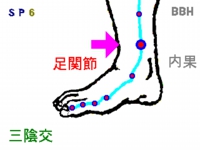 足にある三陰交（さんいんこう）というツボの場所を示した図解